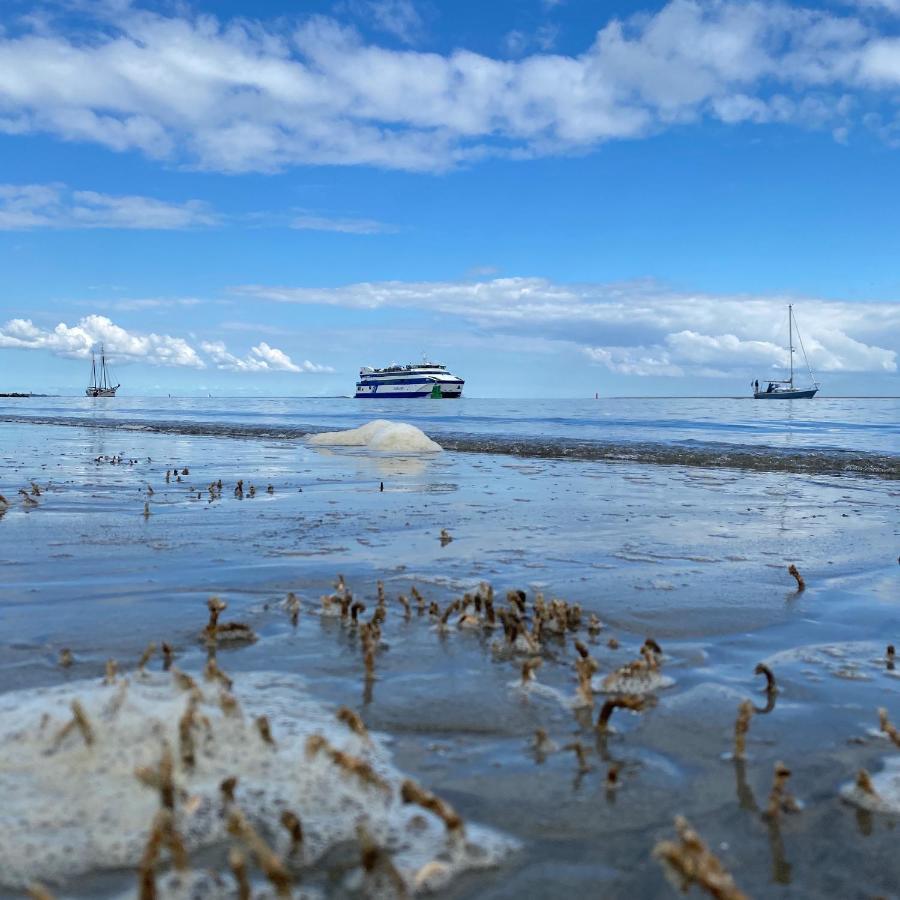Donia Huys Hotell Vlieland Eksteriør bilde